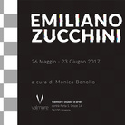 Emiliano Zucchini. Personale