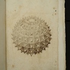 Daniele Barbaro (1514-70). Letteratura, scienza e arti nella Venezia del Rinascimento