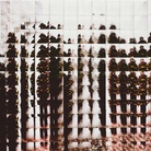 Maurizio Galimberti, Twin Towers Attack