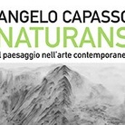 Naturans. Il paesaggio nell'arte contemporanea di Angelo Capasso - Presentazione