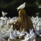 Steve McCurry. For Freedom