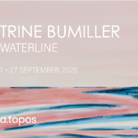 Trine Bumiller. Waterline