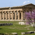 LEZIONI DI ARCHITETTURA DEI GRECI PER L’ETERNITÀ. Il Parco Archeologico di Paestum partecipa alla campagna La cultura non si ferma