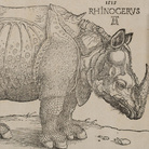 Albrecht Dürer, Rinoceronte, Xilografia, 300 x 215 mm | Courtesy © Musei Civici di Bassano
