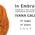 Ivana Galli. In Embryo