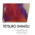Tetsuro Shimizu. Polifonie