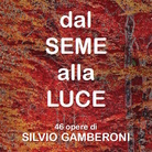 Dal seme alla luce. 46 opere di Silvio Gamberoni