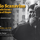 Emilio Scanavino. Genesi delle forme