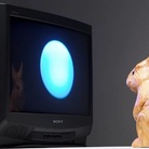 Rabbit Inhabits the Moon. L’arte di Nam June Paik allo specchio del tempo