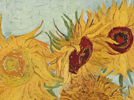 immagine di Vaso con dodici girasoli (Sunflowers)