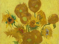 immagine di Girasoli (Sunflowers)