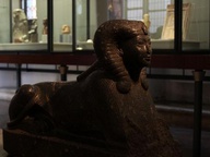 immagine di Sfinge della Regina Hatscepsut