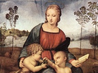 immagine di Madonna del cardellino