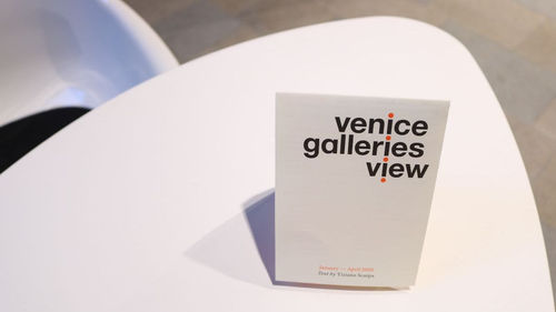 <em>Venice Galleries View Exhibition</em>