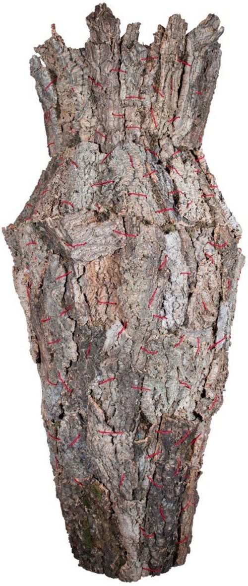 Tarshito, Il Vaso, l’Albero e il Rosso, 2013, struttura in ferro, muschio, cortecce e corda, diam. max. cm.108x255h 