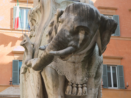 Elefantino della Minerva (Pulcino della Minerva)