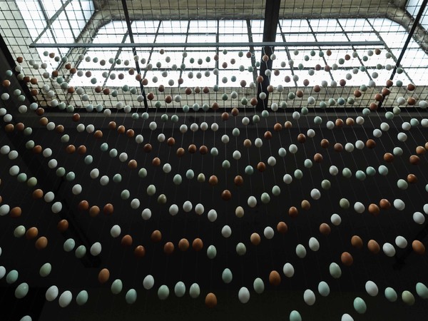 Georgina Starr, Eggs Curtain, 2019