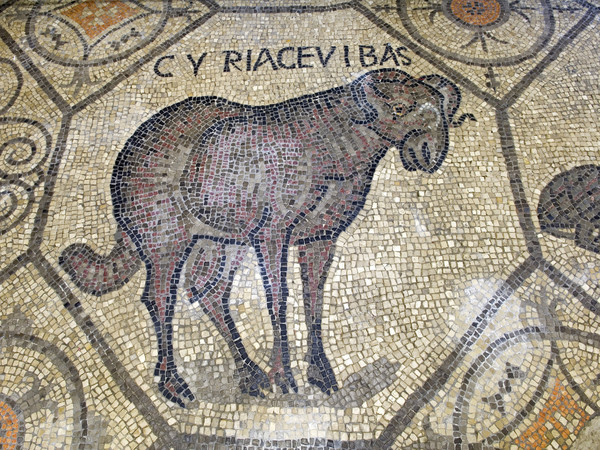 Aquileia romana: l'edilizia privata